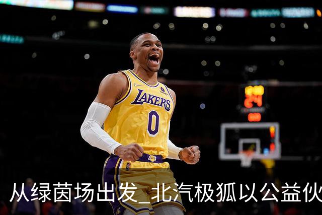 从绿茵场出发 北汽极狐以公益伙伴身份守护少儿足球梦想