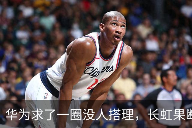华为求了一圈没人搭理，长虹果断接盘