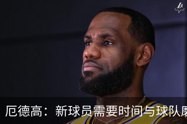 厄德高：新球员需要时间与球队磨合，我们每周都在变得更好
