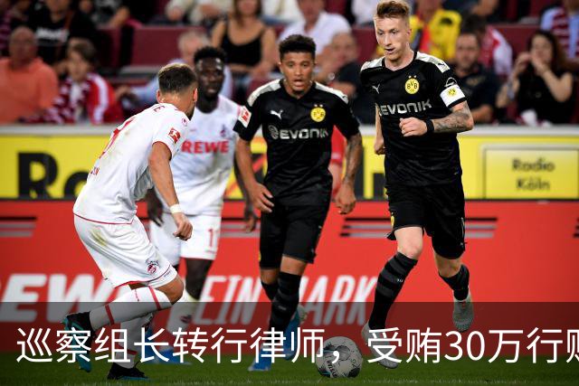 巡察组长转行律师，受贿30万行贿145万，被判4年半