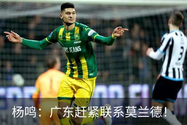 杨鸣：广东赶紧联系莫兰德！