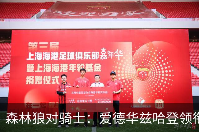 森林狼对骑士：爱德华兹哈登领衔，两队伤情成看点