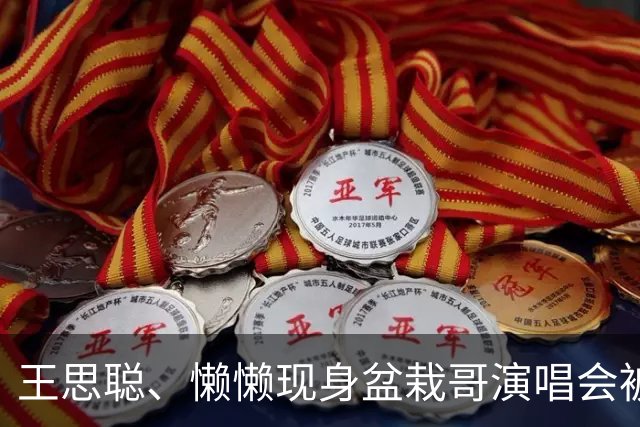 王思聪、懒懒现身盆栽哥演唱会被偶遇，坐在VVIP位置，引热议