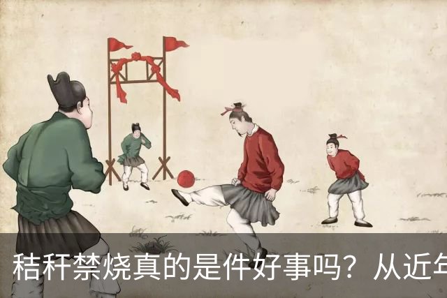 秸秆禁烧真的是件好事吗？从近年蚯蚓鸟类和蛇类数量就能看出来