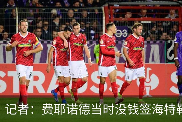 记者：费耶诺德当时没钱签海特勒伊达