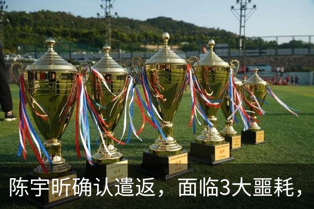 陈宇昕确认遣返，面临3大噩耗，真实背景曝光，父母受牵连